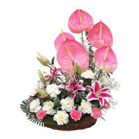 Same Day Flower to India - Anthurium Basket