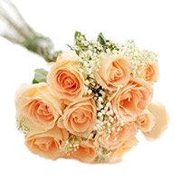 Flowers to India : Peach Roses ot India